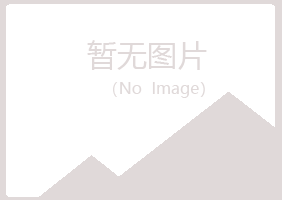 上海宝山字迹会计有限公司